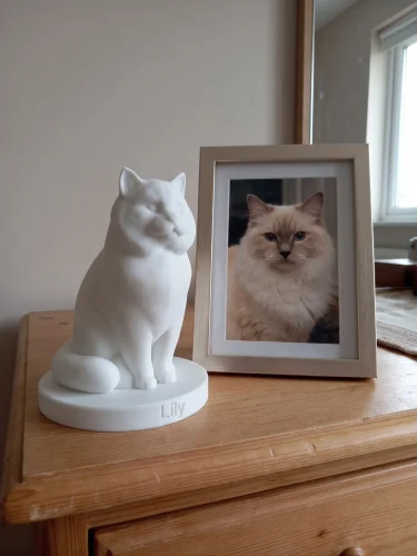 Ragdoll Cat Urn — Extra-Fine 3D Printed Memorial for Ashes | Free Name Engraving photo review