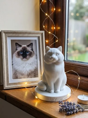 Ragdoll Cat Urn — Extra-Fine 3D Printed Memorial for Ashes | Free Name Engraving photo review