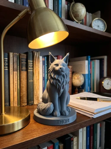 Maine Coon Cat Urn — Extra-Fine 3D Printed Memorial for Ashes | Free Name Engraving photo review